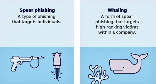 Spear Phishing Vs Whaling