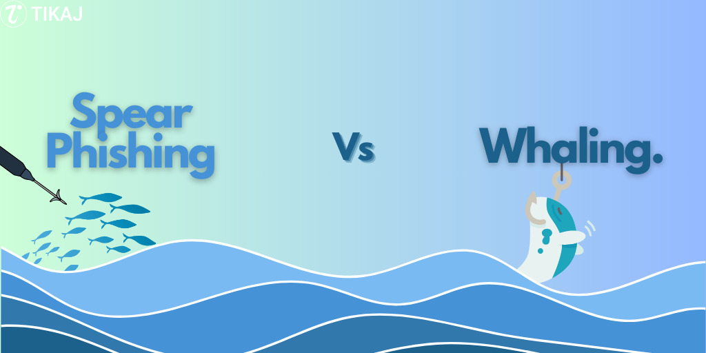 spear phishing vs whaling
